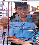 26.png