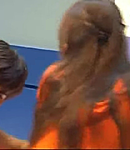 151.png