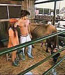 Filename=228.jpeg
Filesize=109KiB
Dimensions=640x480
Date added=Dec 03, 2025 228.jpeg