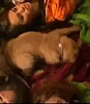 Filename=016.jpeg
Filesize=54KiB
Dimensions=640x480
Date added=Dec 04, 2025 016.jpeg