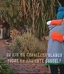 Filename=28.jpeg
Filesize=68KiB
Dimensions=640x480
Date added=Dec 06, 2025 28.jpeg