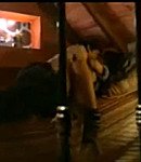 Filename=023.jpeg
Filesize=51KiB
Dimensions=640x480
Date added=Dec 06, 2025 023.jpeg