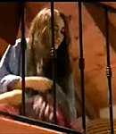 Filename=042.jpeg
Filesize=65KiB
Dimensions=640x480
Date added=Dec 06, 2025 042.jpeg