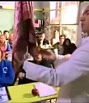 Filename=254.jpeg
Filesize=66KiB
Dimensions=640x480
Date added=Dec 06, 2025 254.jpeg