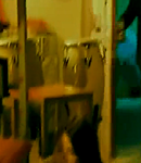 144.png