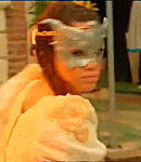 350.png