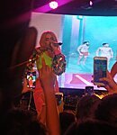 17.jpg